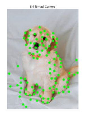 Shi-Tomasi Corners image in OpenV