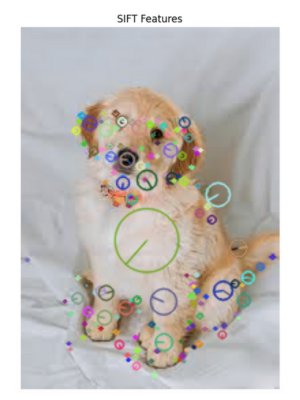 SIFT features image in OpenCV