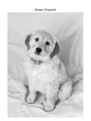 Green channel image in OpenCV