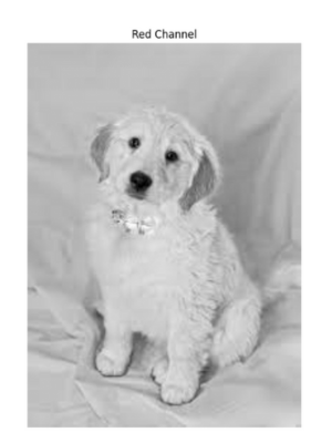 Red channel image in OpenCV