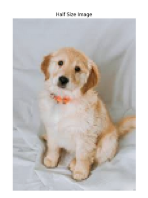 Half Size Image in OpenCV