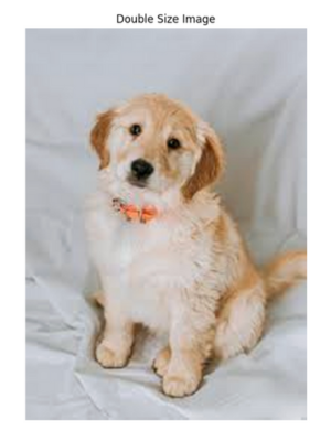 Double Size Image in OpenCV