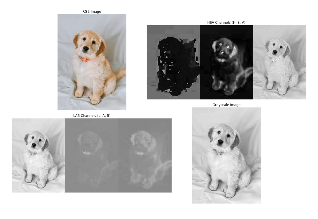 Color Space Conversions in OpenCV