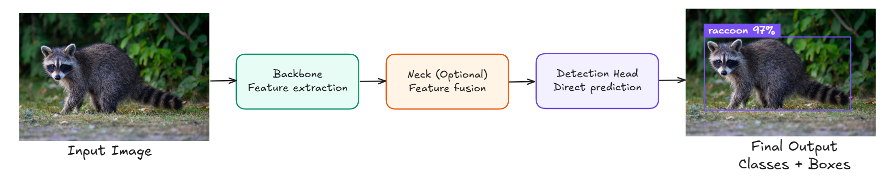General Flow of Single-Shot Models