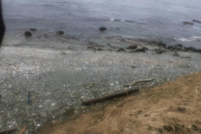 image of beach with no sea lions