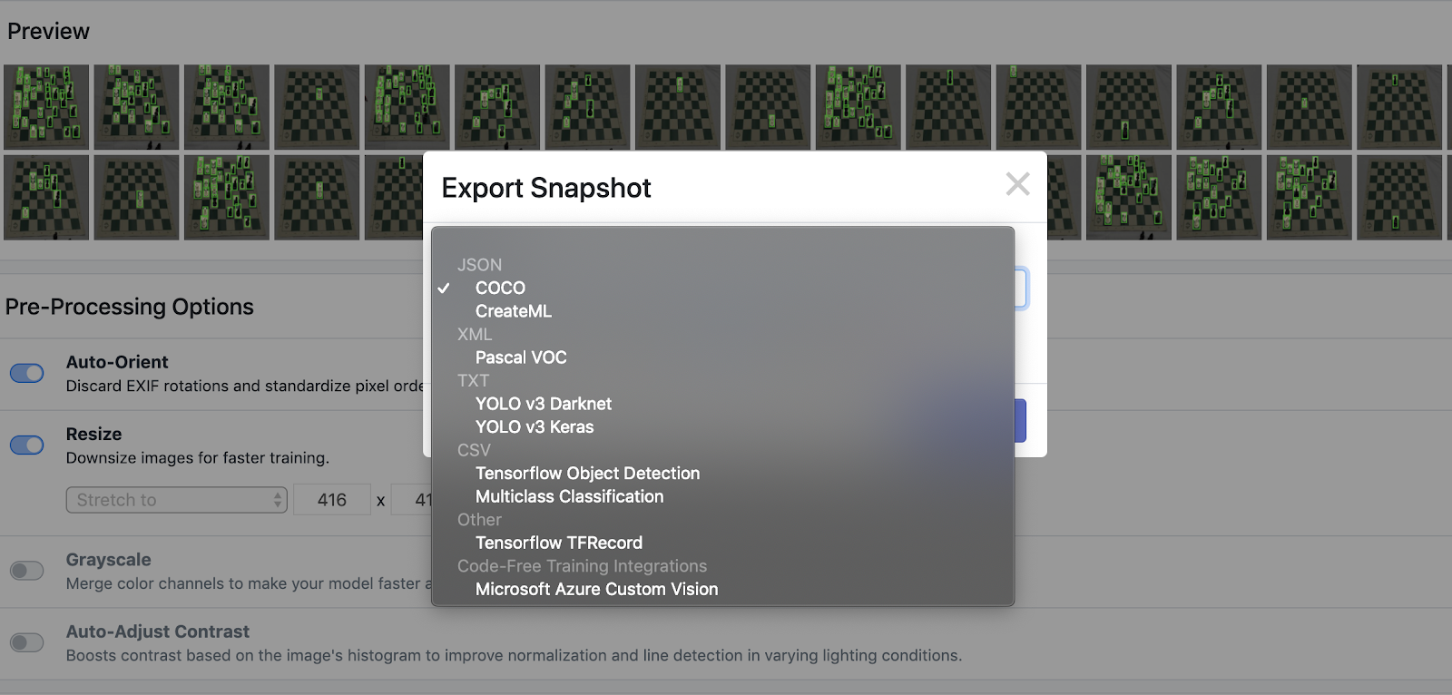 Roboflow Screenshot: Export Snapshot (COCO JSON)