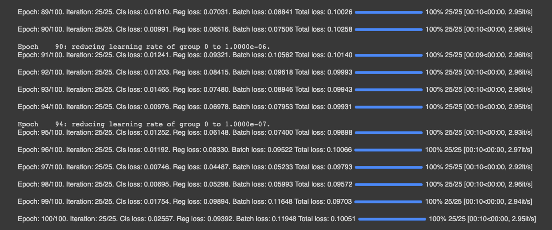 Output of model training (epoch: 100/100, Total loss: 0.10051)