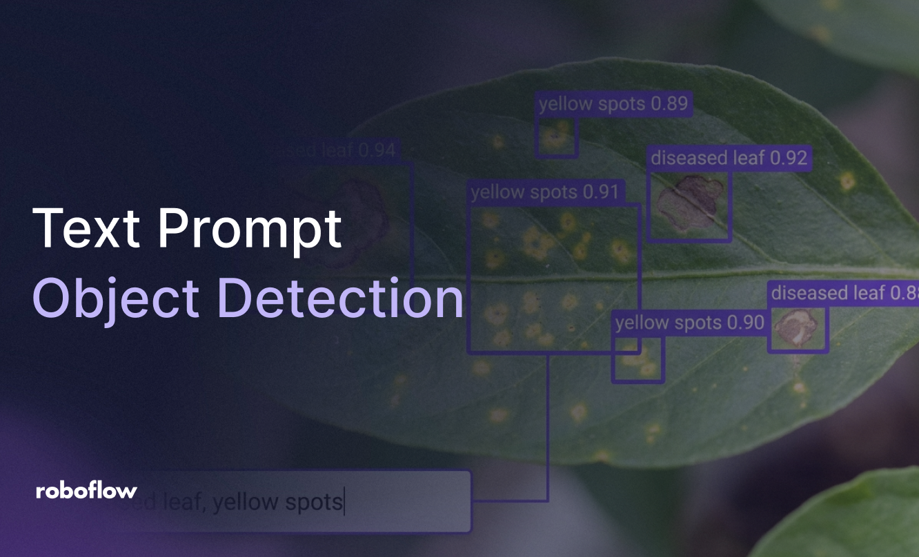 Text Prompt Object Detection with Roboflow
