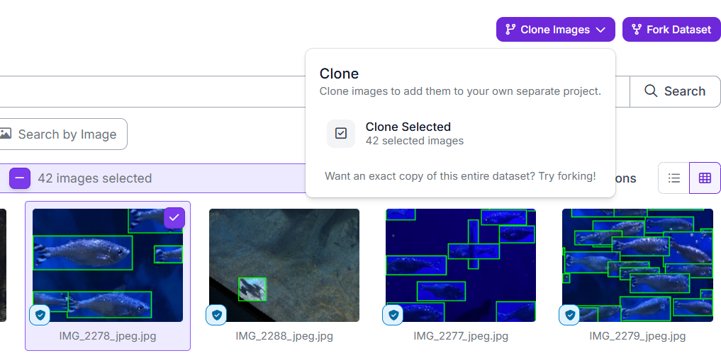 How to Auto-Label Image Data with Gemini 3.7 in Roboflow