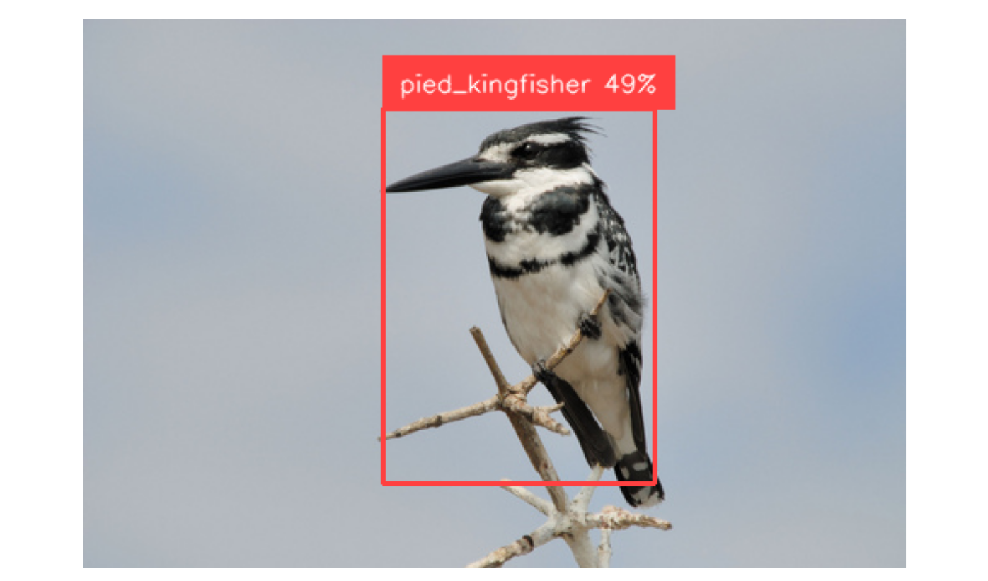 Object Detection API: Best Hosted Options in 2026 (and When to Own Your Model)