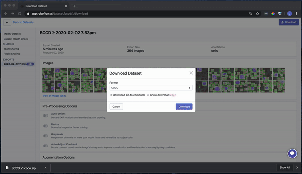 Roboflow Screenshot: Selecting a download format (COCO JSON)