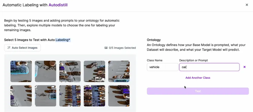 A screenshot of Automatic Labeling in Roboflow