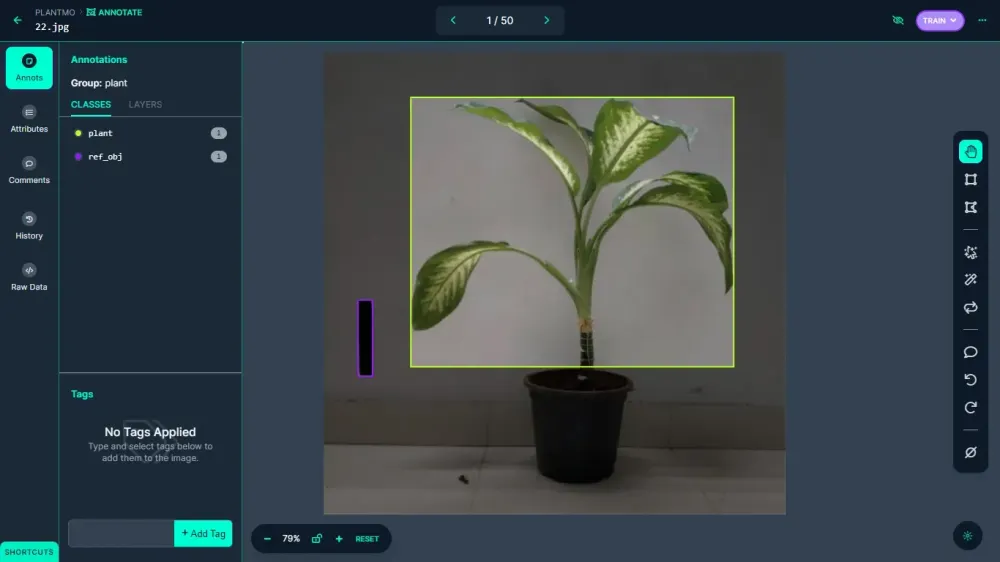 A plant in a pot
Description automatically generated