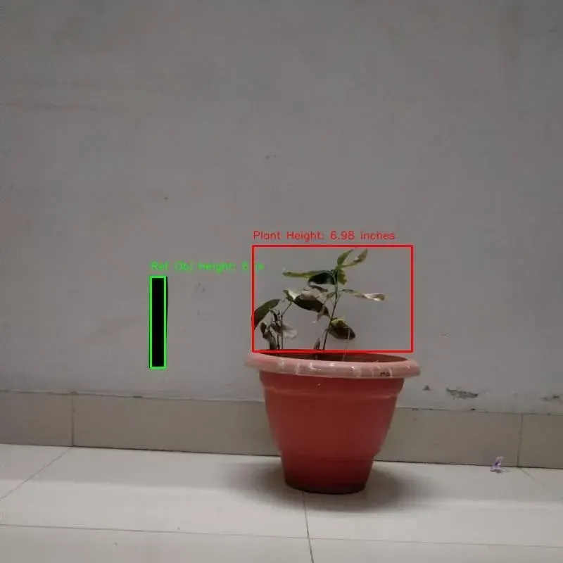 A plant in a pot
Description automatically generated