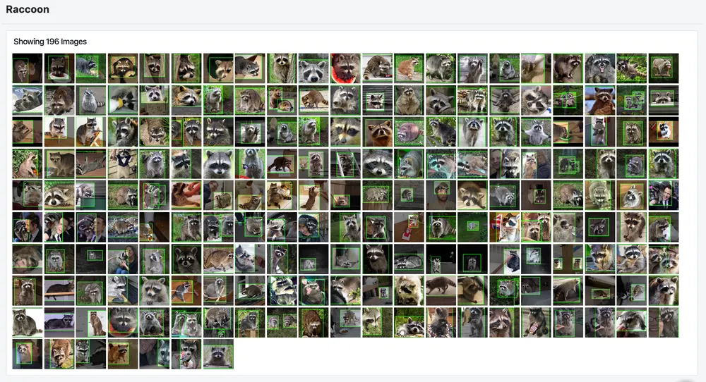 Roboflow screenshot: 196 processed images of raccoons with bounding boxes.