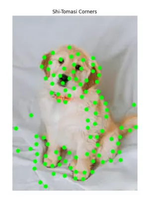 Shi-Tomasi Corners image in OpenV