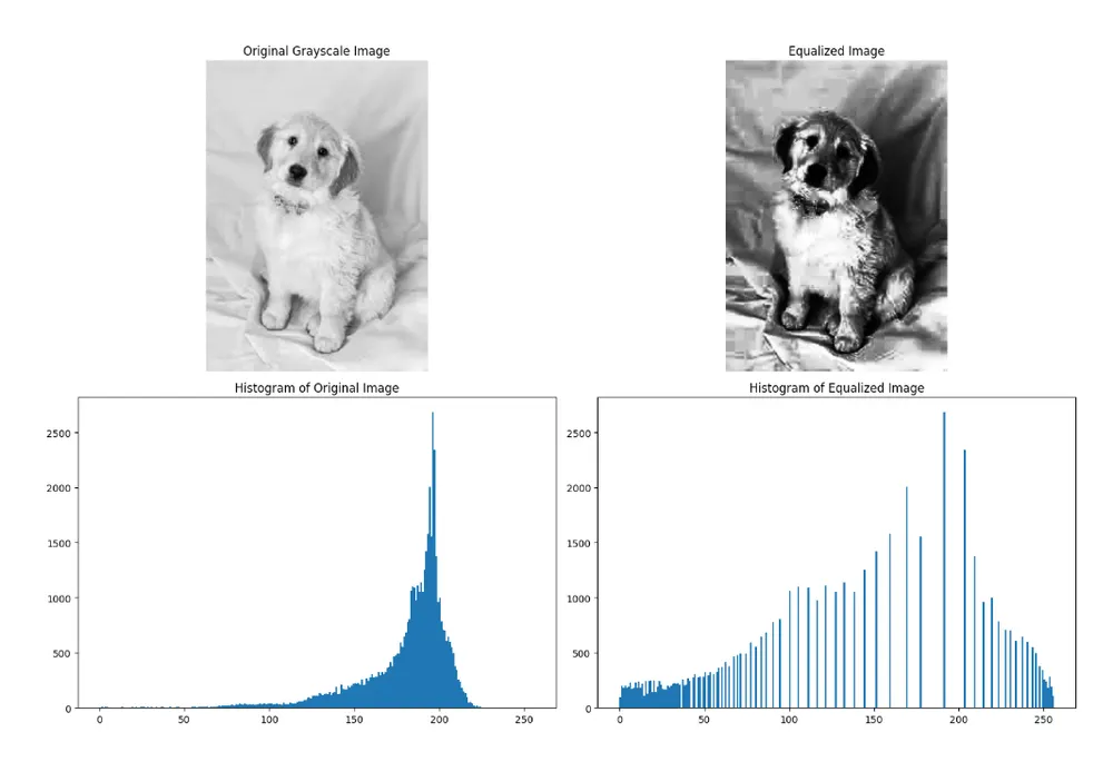 Histograms for equalized image in OpenCV