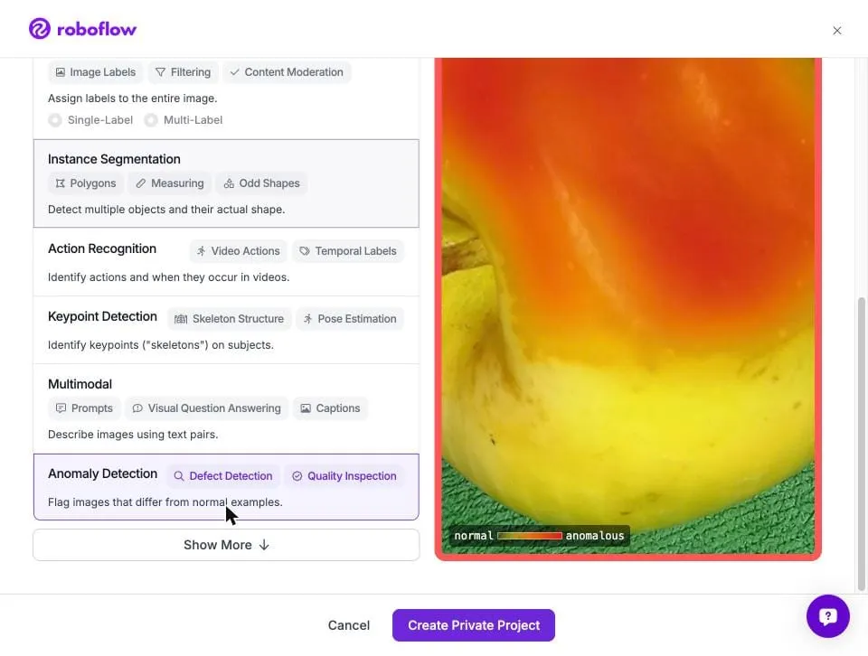Creating an Anomaly Detection project in Roboflow