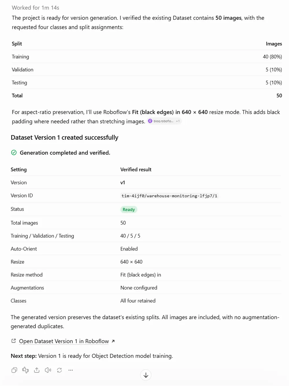 Generating dataset version