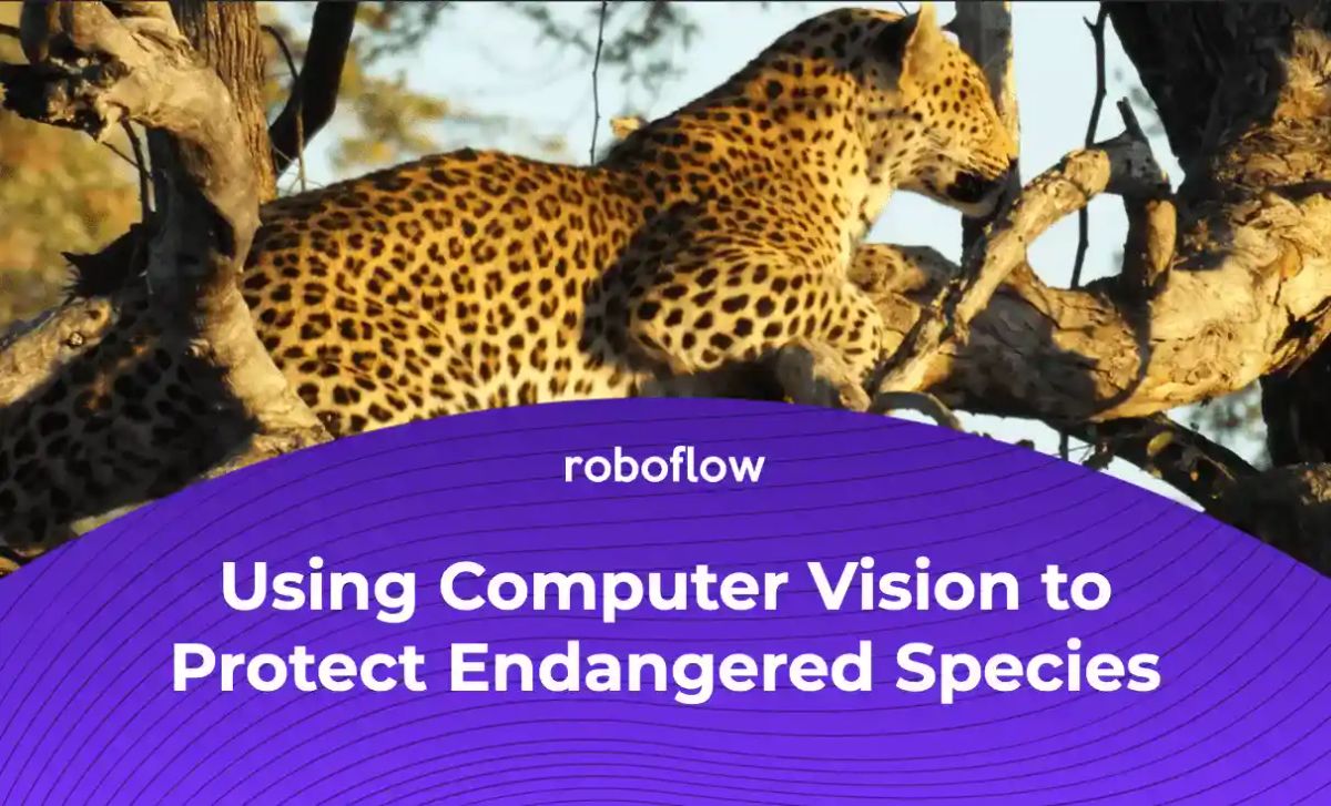 protect endangered species