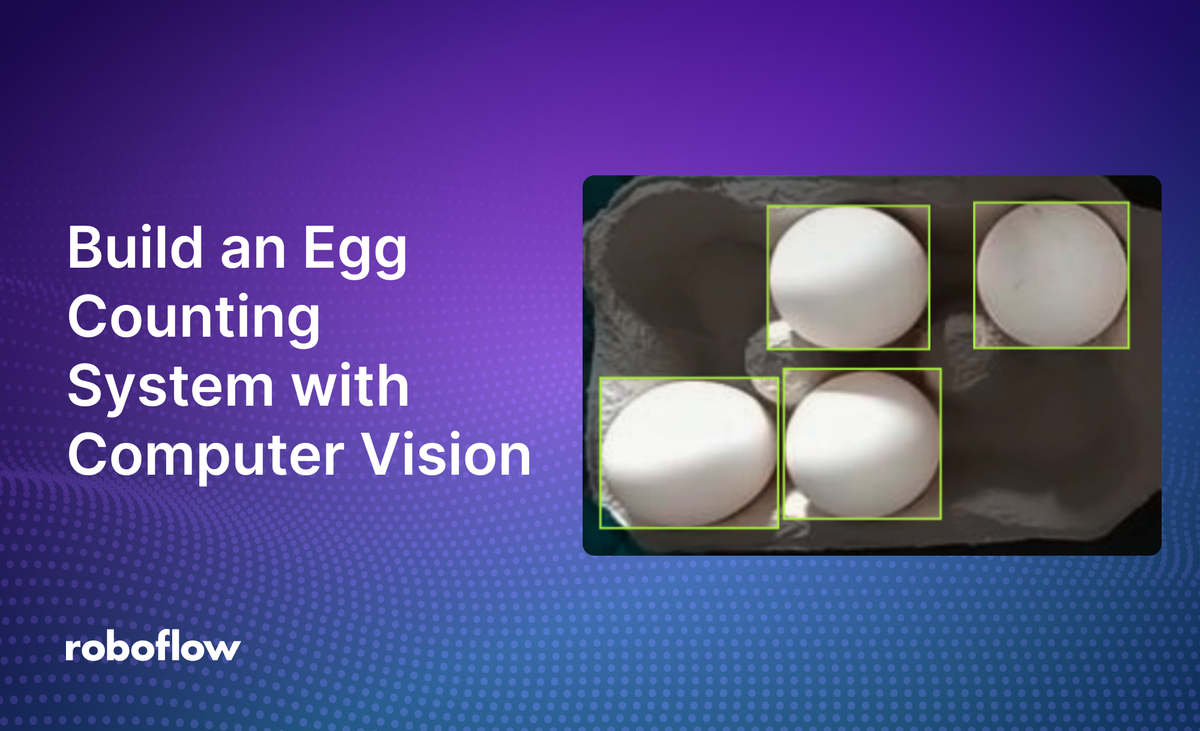 Build an Egg Counting System with Computer Vision