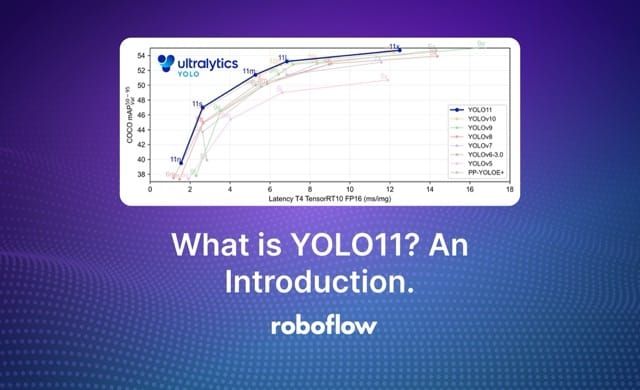 use YOLO11