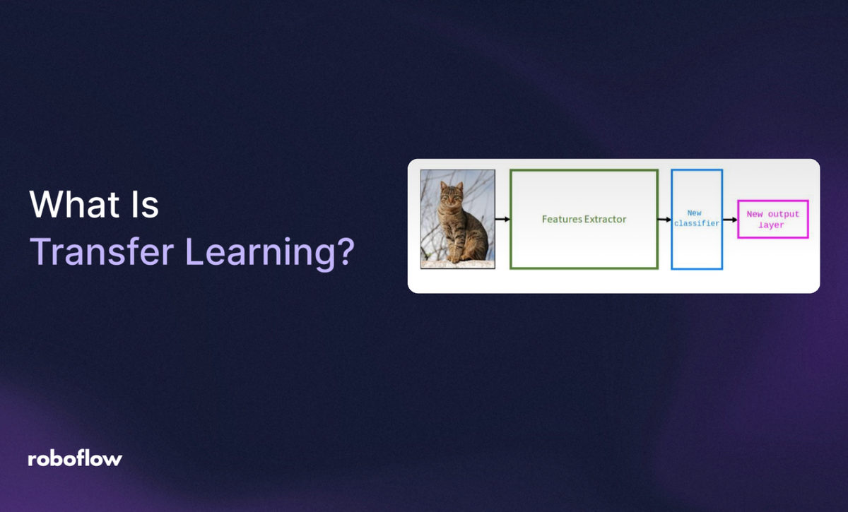 transfer learning guide for computer vision