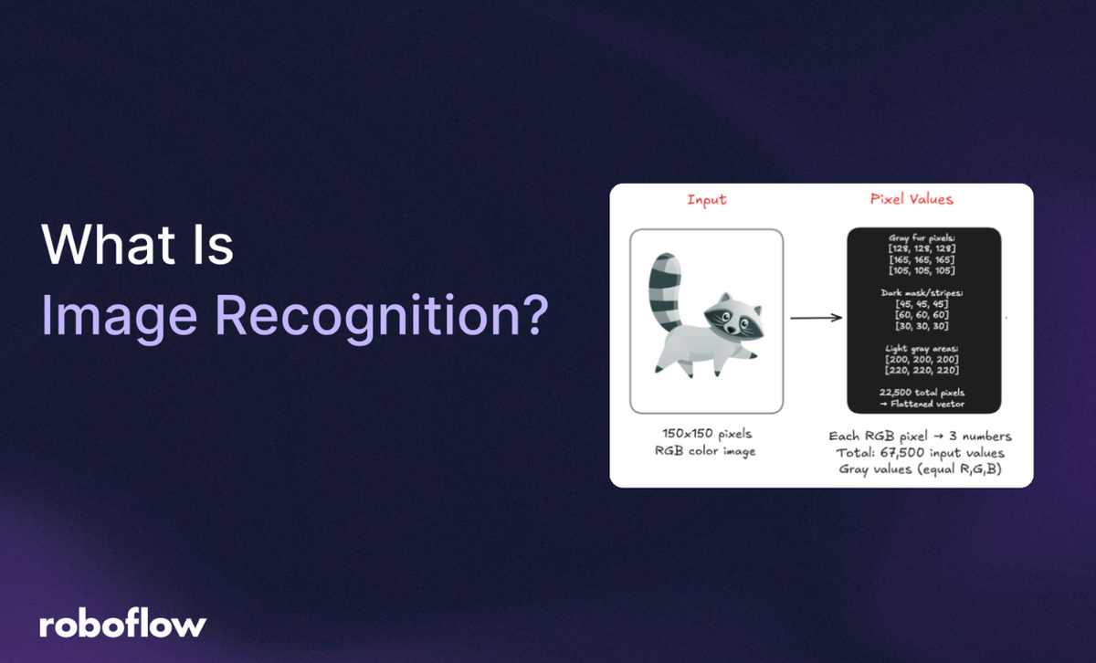 What Is Image Recognition
