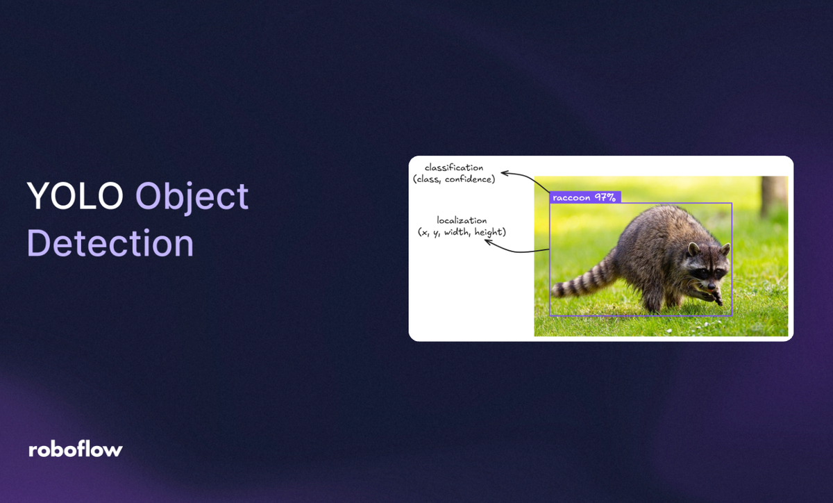 YOLO Object Detection