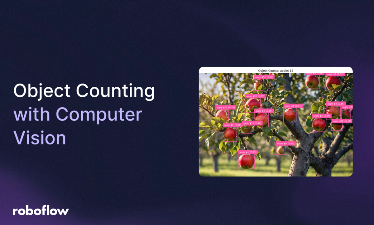 object counting with rf-detr and roboflow