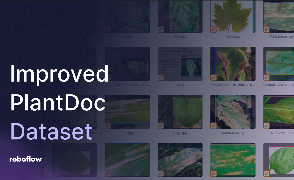Improved PlantDoc Dataset for Plant Disease Object Detection