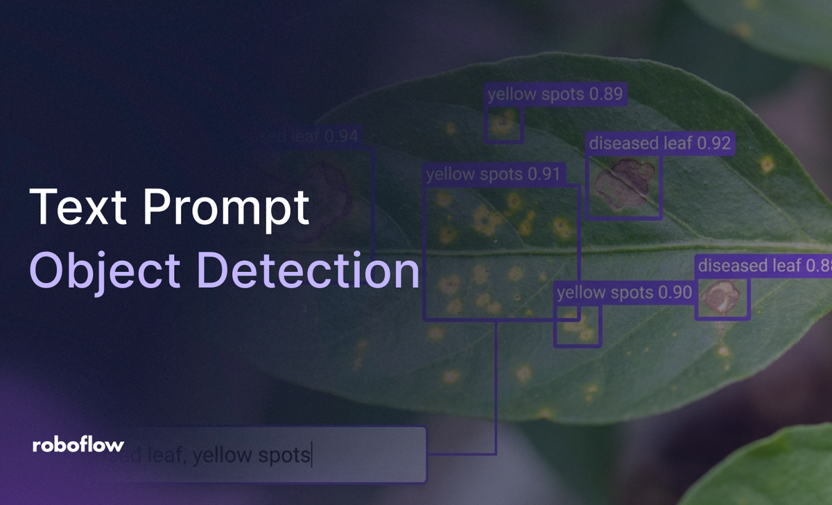 Text Prompt Object Detection with Roboflow