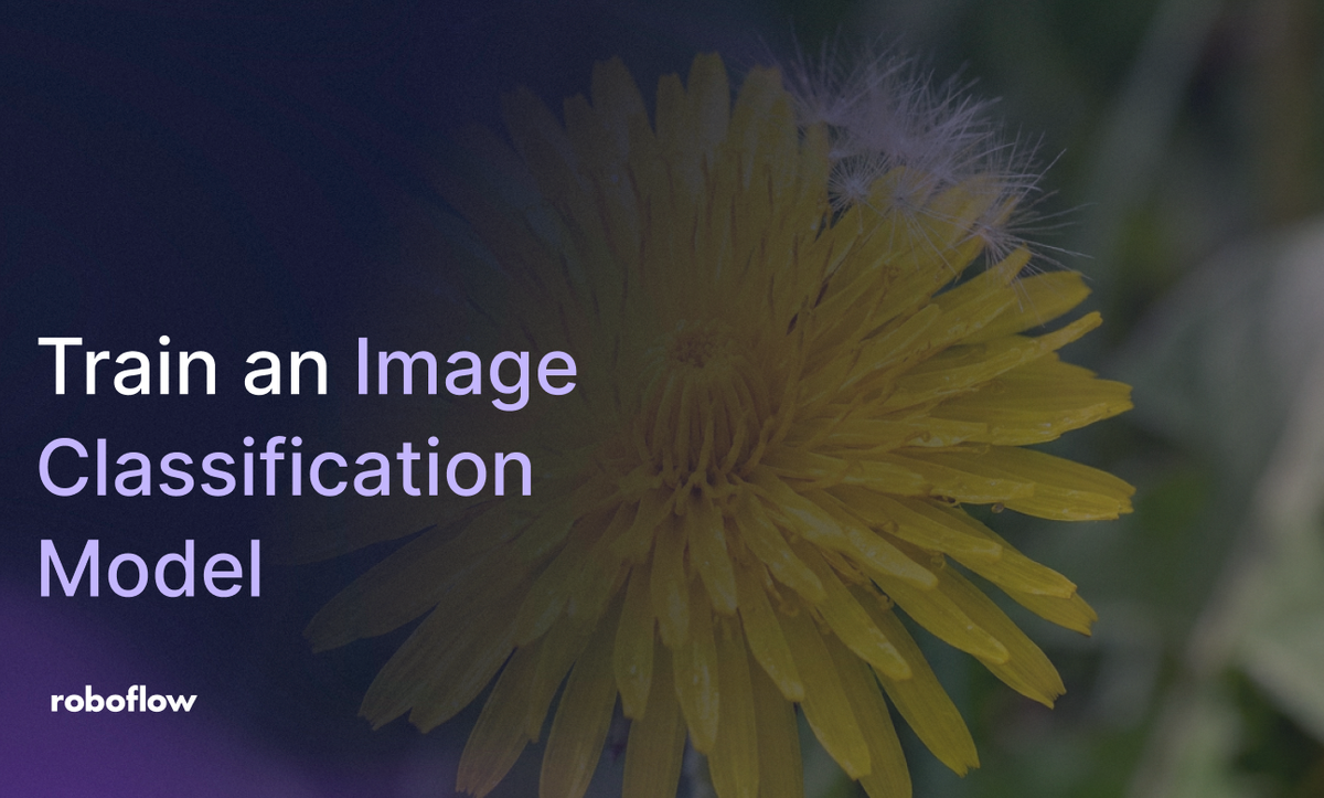 How to Train a VGG-16 Image Classification Model on Your Own Dataset