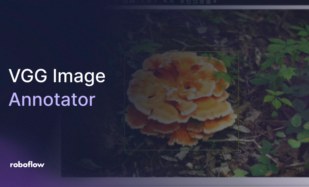 Getting Started with VGG Image Annotator for Object Detection Tutorial with Roboflow Vision AI