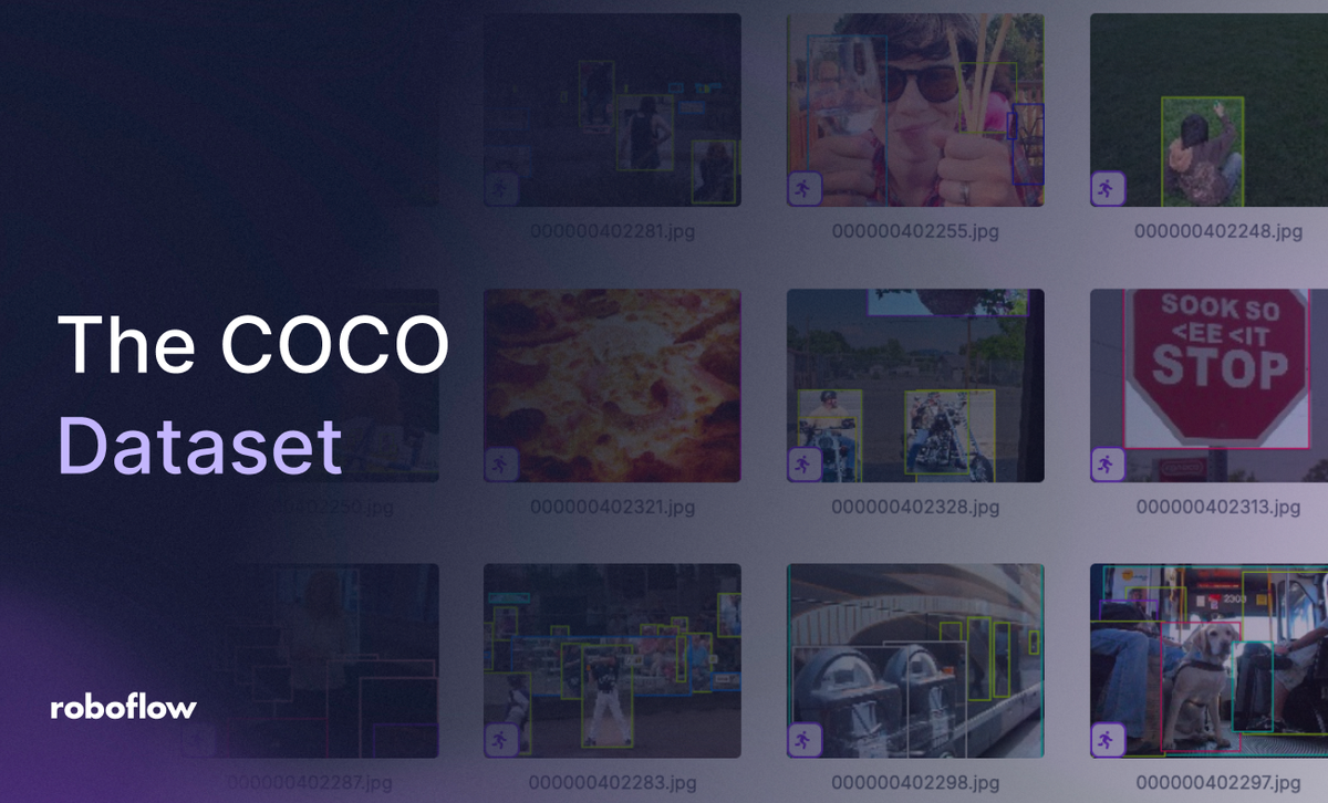 the COCO dataset on Roboflow Vision AI