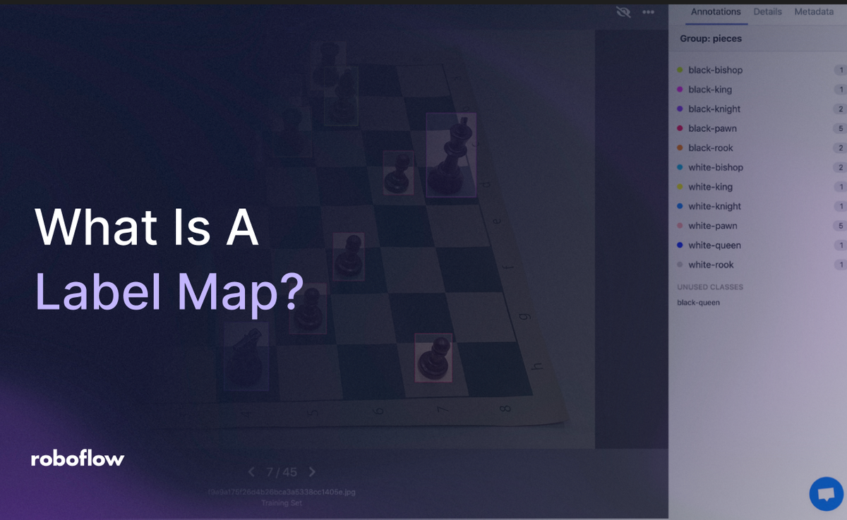 What Is A Label Map on Roboflow Vision AI