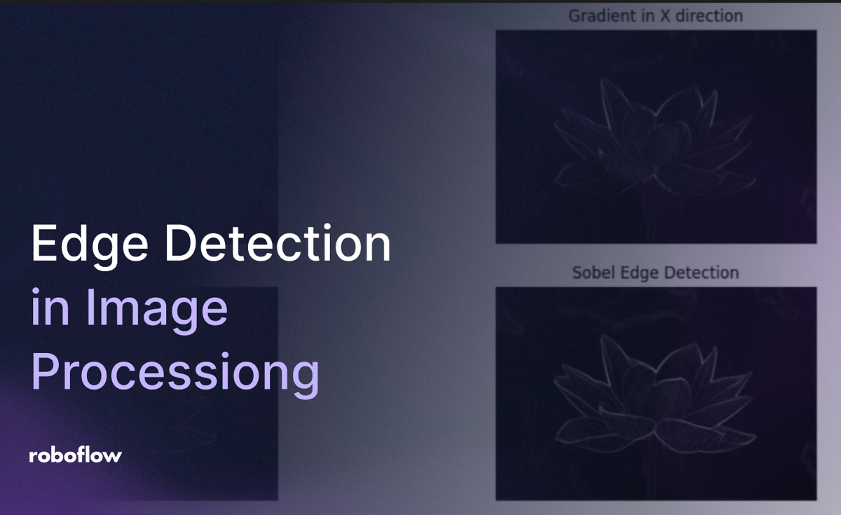 Edge Detection in Image Processing on Roboflow Vision AI