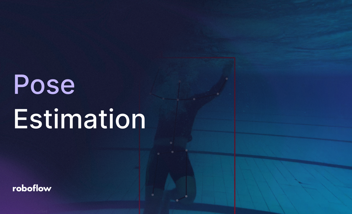 pose estimation with Roboflow Vision AI