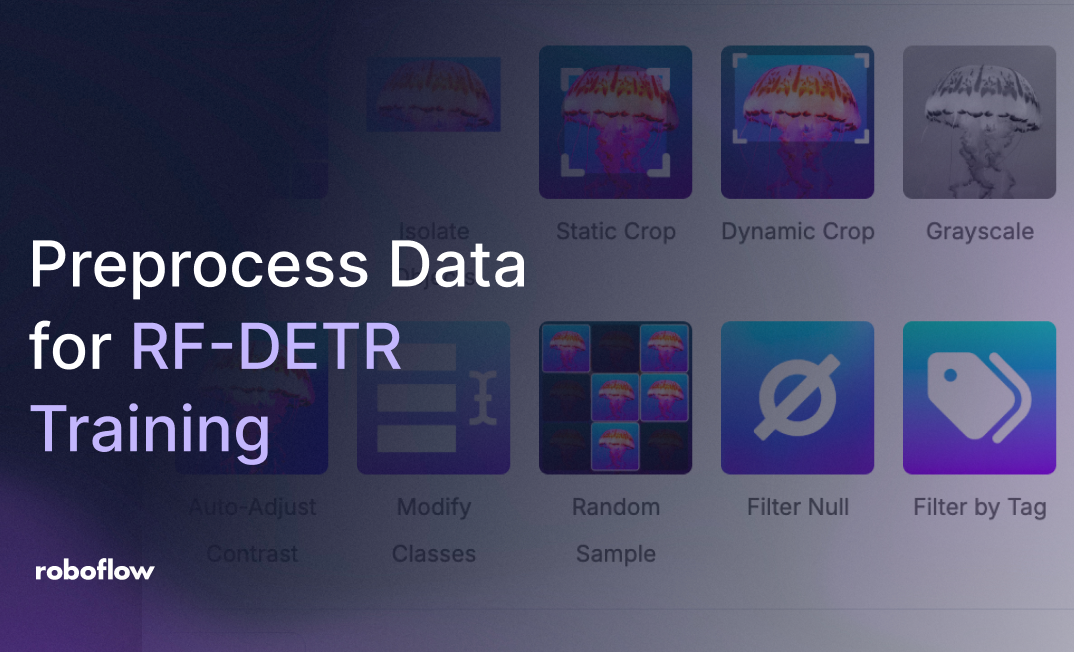 How to Preprocess Data for RF-DETR Training