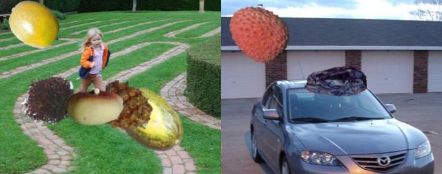 synthetic image data generation