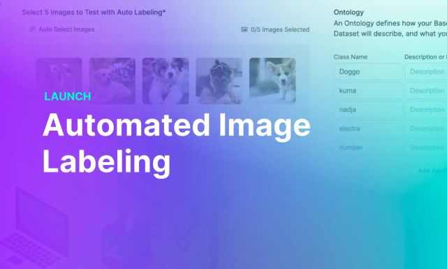 Launch: Model Prompting for Automated Labeling with Autodistill