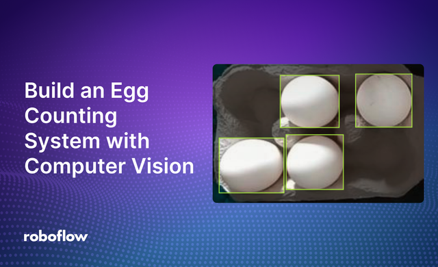 Build an Egg Counting System with Computer Vision