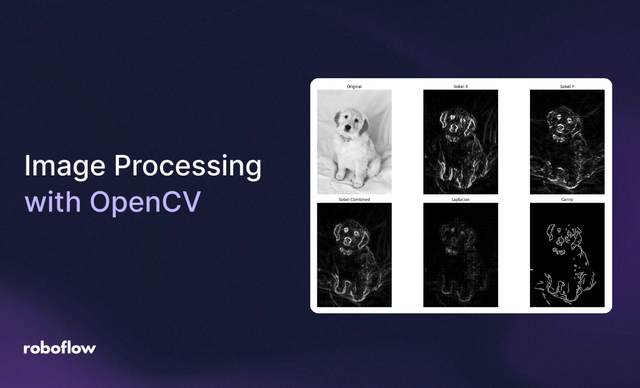 Image Processing with OpenCV