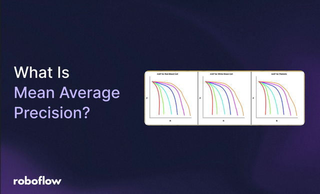 mean average precision