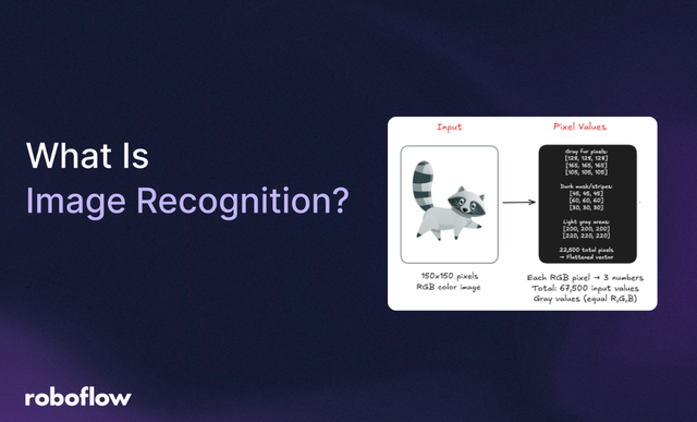 What Is Image Recognition