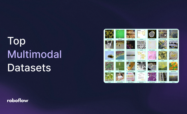 Top Multimodal Datasets