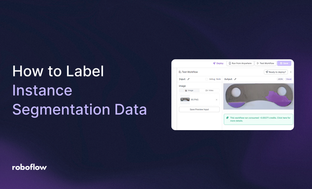 How to Label Instance Segmentation Data