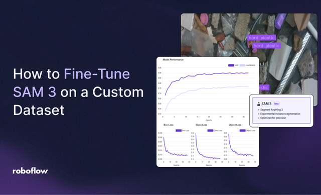 How to Fine-Tune Segment Anything 3 (SAM 3) on a Custom Dataset