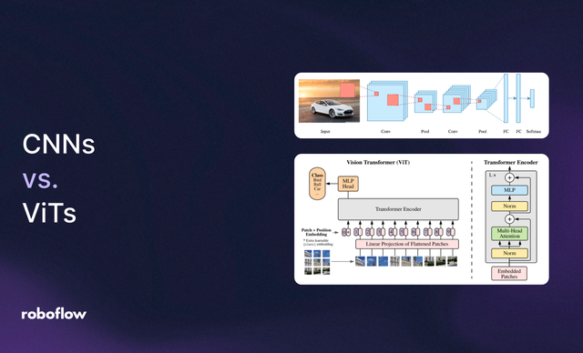 Vision Transformer vs. CNN for Detection