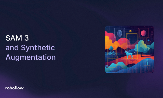SAM 3 and Synthetic Augmentation